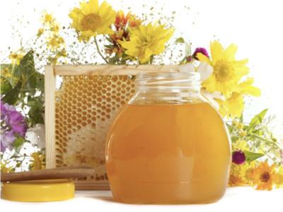 Лечение гайморита медом и прополисом