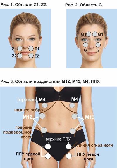 Области воздействия и места установки виброфонов. Рис. 1-3