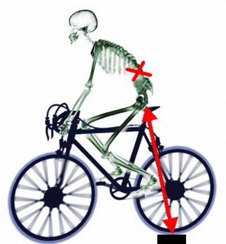 Неправильная езда на велосипеде может нанести вред здоровью