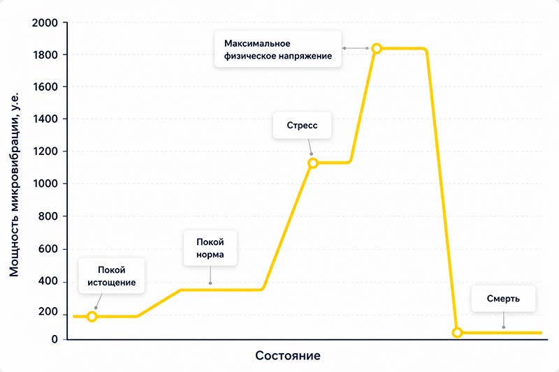 Микровибрация - жизненно важный ресурс организма