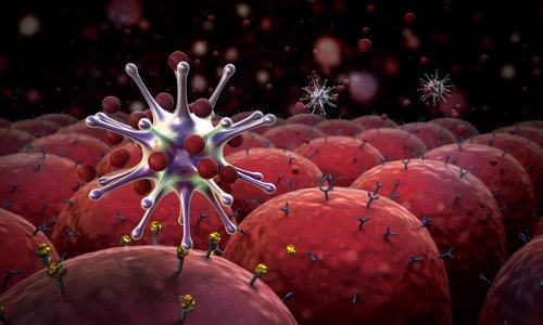 Вирус и поле рецепторов клеток